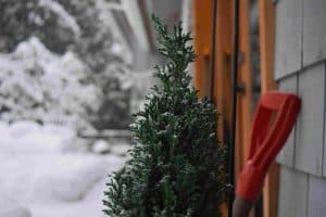 call-a-proffesional-snow-removal-service
