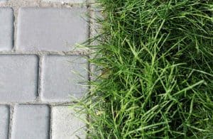 how-to-edge-a-lawn-with-a-shovel